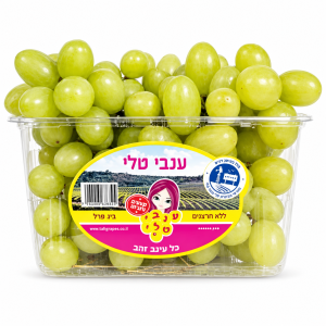 ענבים ירוקים טלי