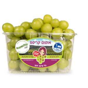ענבים ירוקים טלי