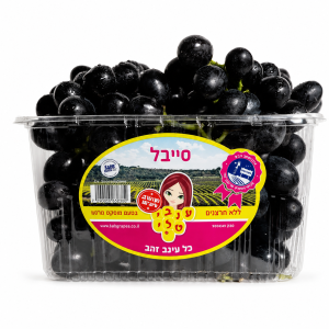 ענבים שחורים טלי