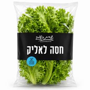 חסה לאליק