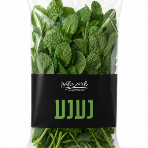 מארז נענע