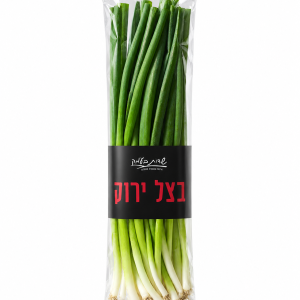 בצל ירוק