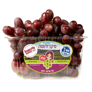 ענבים