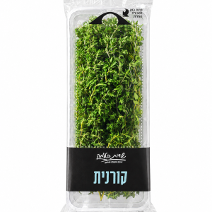 טימין